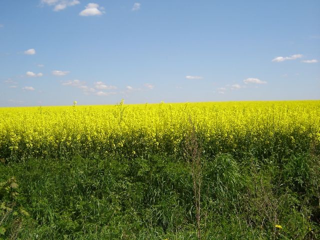 Wpis barwysiebie