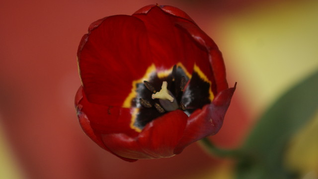 Wpis amadeuszek997