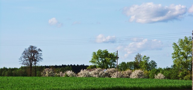 widok z okna
