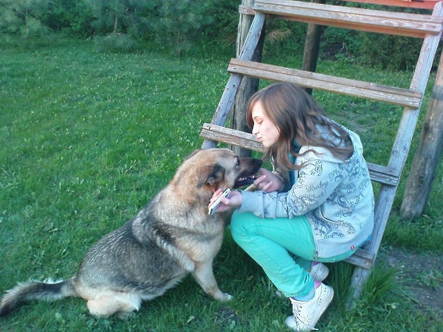z Ag . ; *