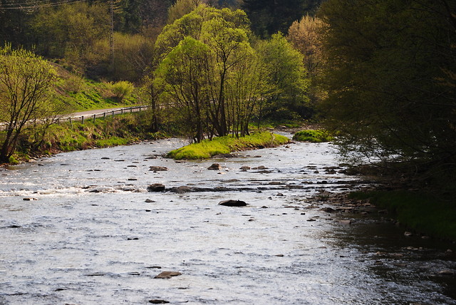 Bieszczady.