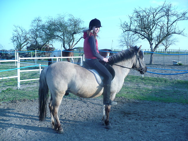 Wpis ponypower
