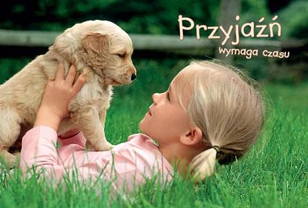 Przyja...