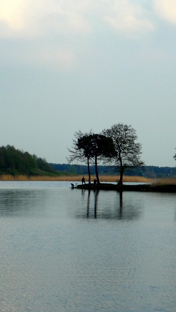 Wpis stolbeznog2
