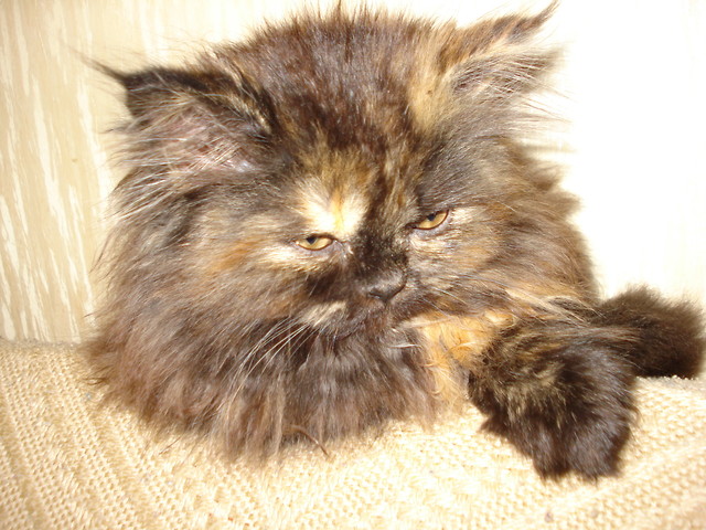 Lili