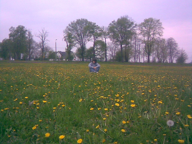 Zdezorientowany .