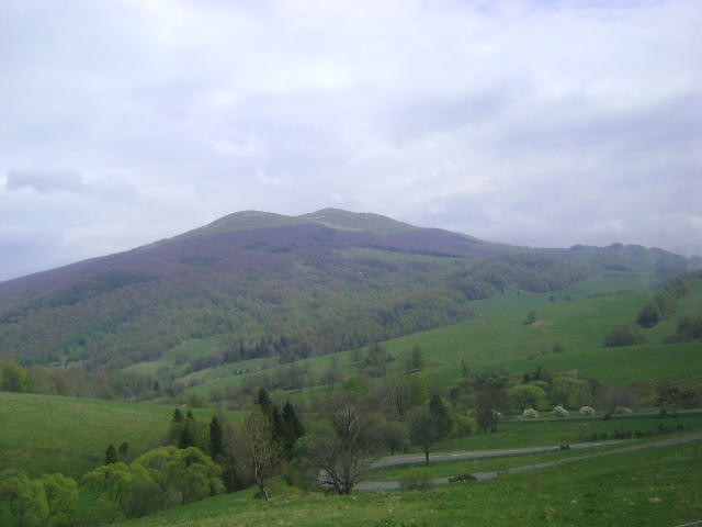 Wpis spermolud