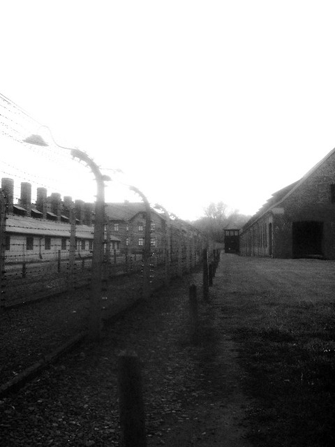 Auschwitz Birkenau