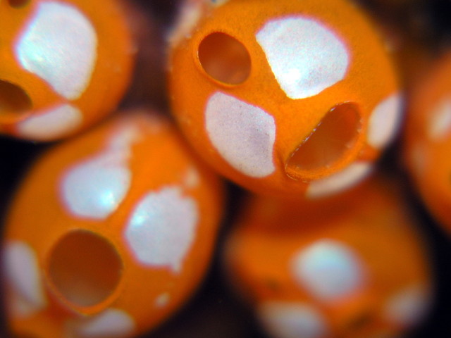 pomaraczowo