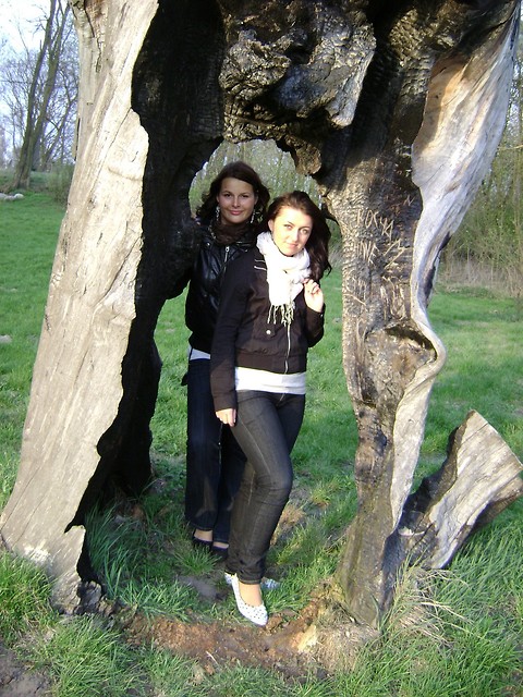Friends :)