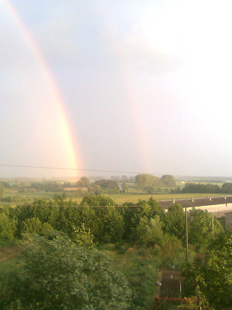 Wpis darciakova