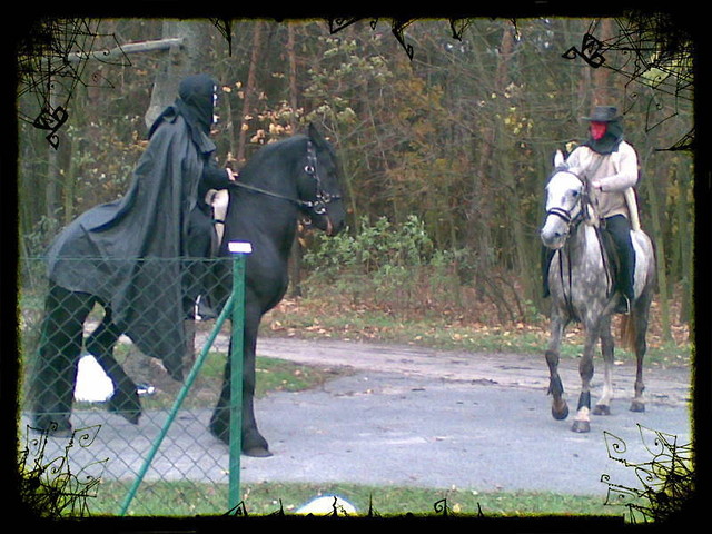 HALLOWEEN 2008
