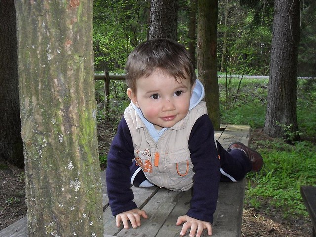 synek:)