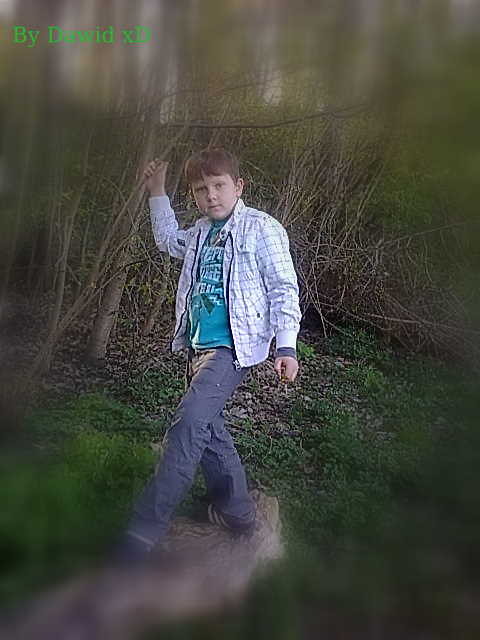 Wpis dawid11056