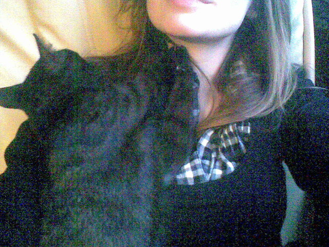 Wpis ilowczoklet
