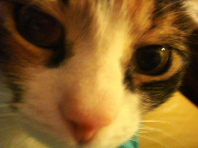 Look into my eyes...