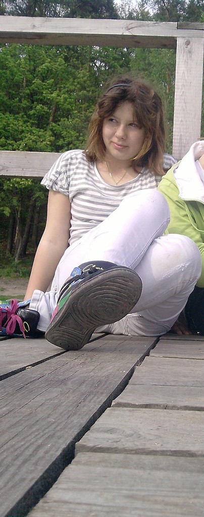 Wpis domaszek