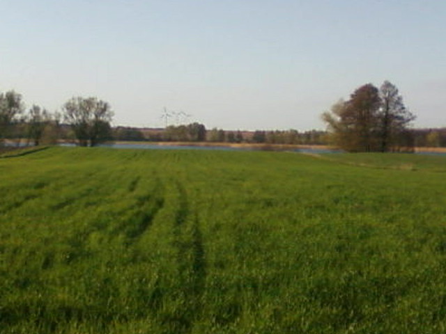 Ziele