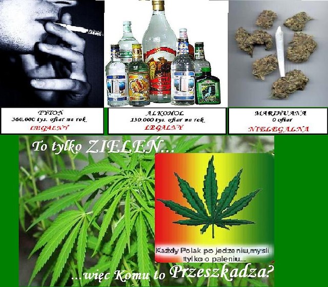 Legalizacja...!!!!!!!!