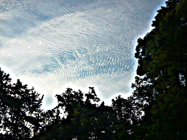 Cirrocumulus