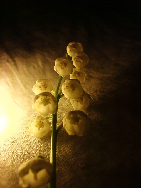 Lily of the Valley