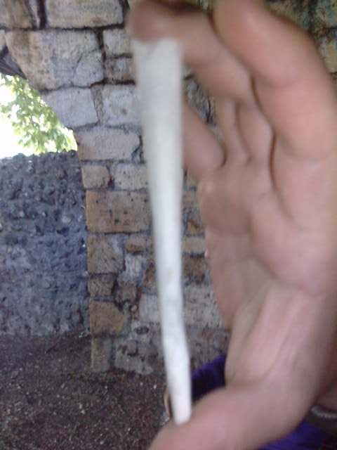 Pan Blant