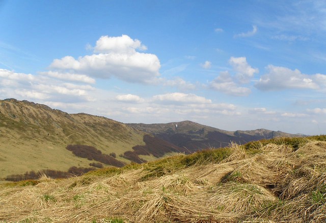 Bieszczady IV