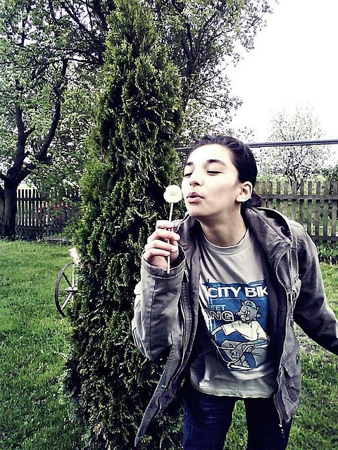 NIBYLANDIA OTWARTA:****