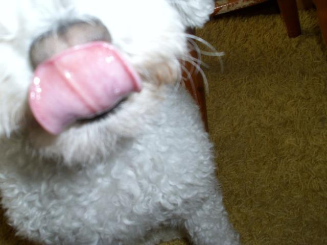 Funia's tongue is pinkish ^^