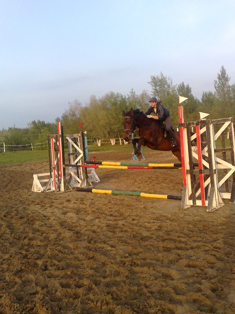 ANDRUS-05.2010