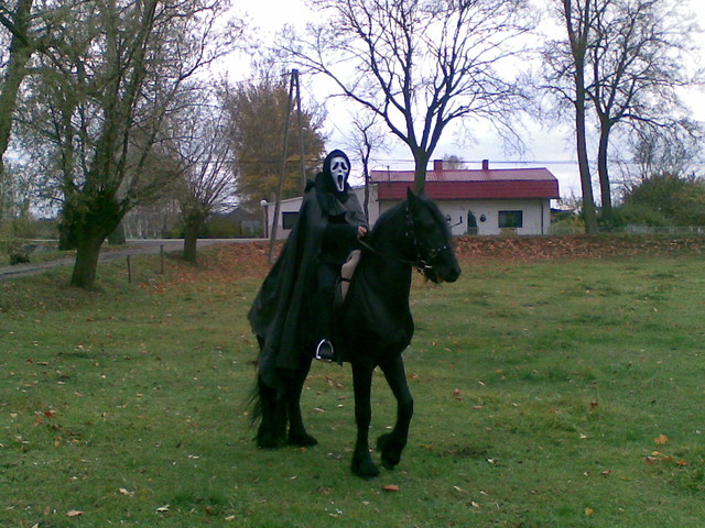 CEZAR-HALLOWEEN