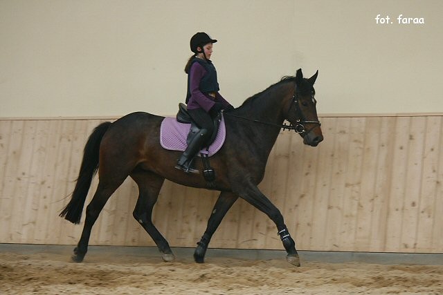 Zagalopowanie na kontrgalop :).