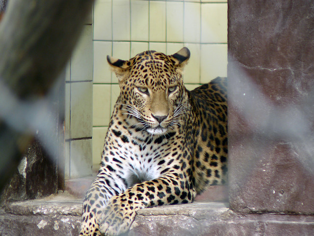 zoo ostrava