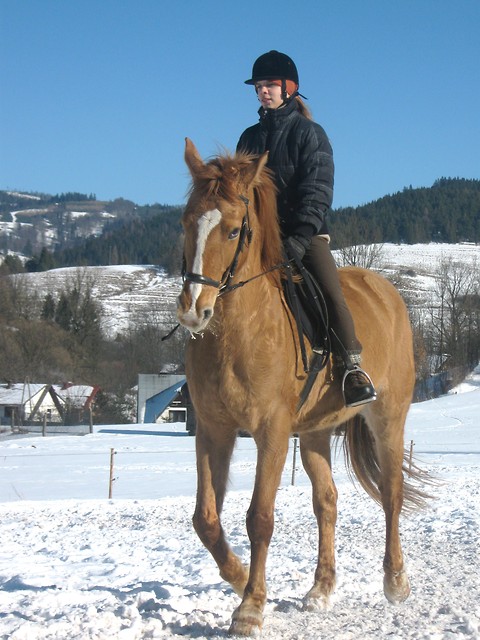 Wpis dzolka99