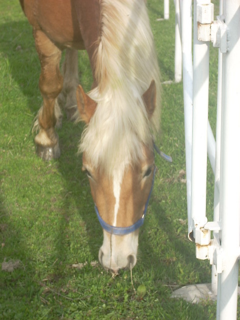 To jest wanie Swingu:*:* 