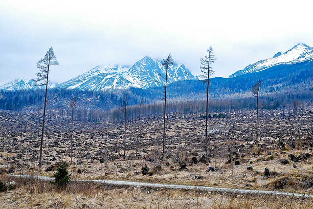 Slovakia.