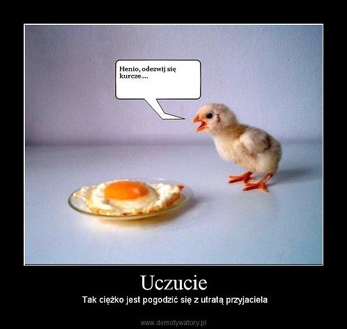 ^ no cccomennt. 