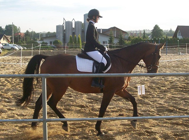 Pracowicie