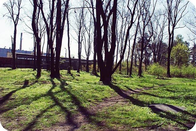 Stary cmentarz.