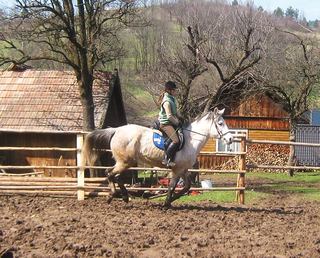 Wpis dzolka99