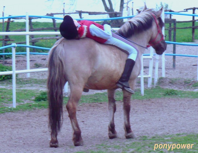 Leymy