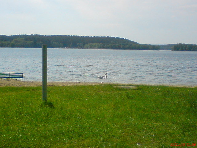 Wpis strusiek