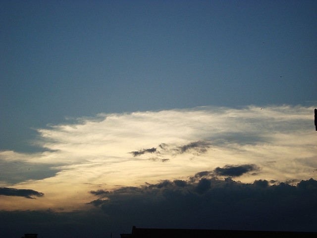 Wpis fotog