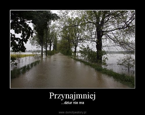 demotki.