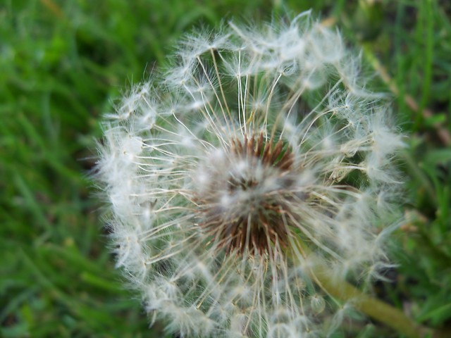 Wpis agnieszka130592