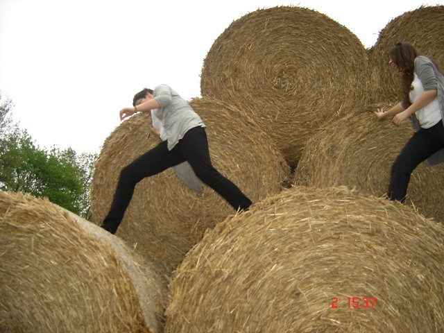 Wpis slodkoogorzkoo