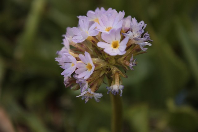 Wpis sylwuch05