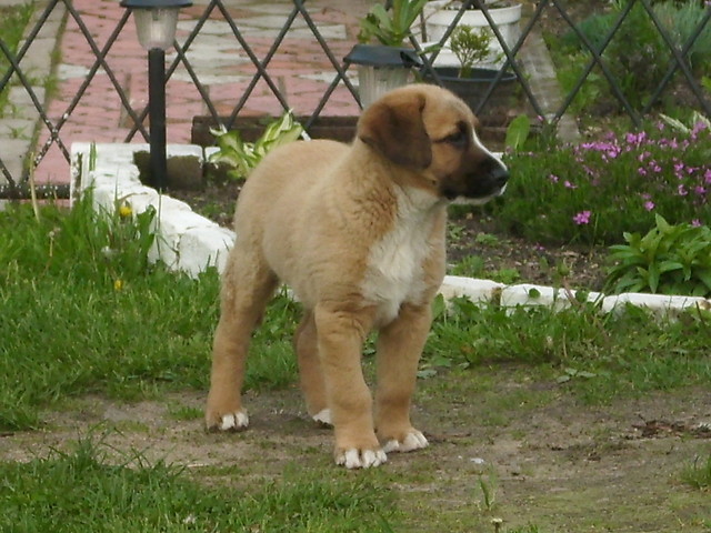 Wpis moniulka397