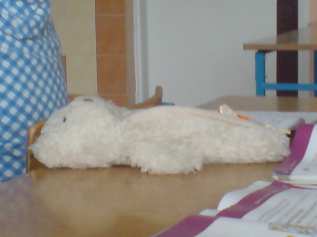 ms magdy  xD 2