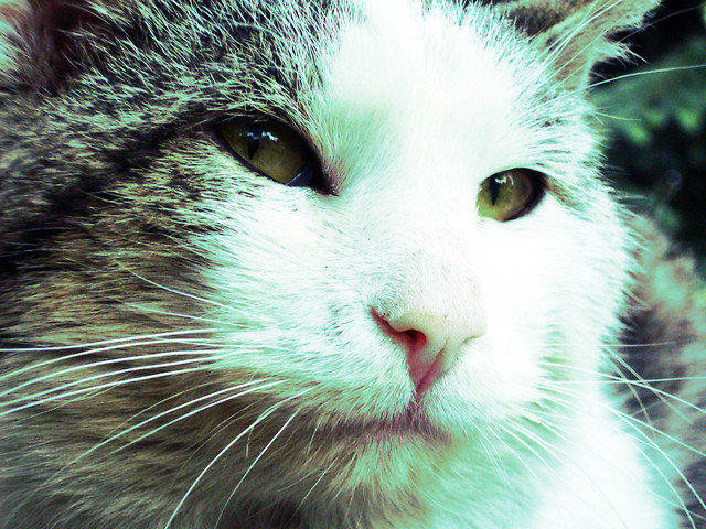 wiosennie. ; ))
